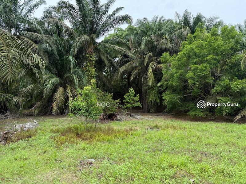 Agricultural Land Seri Medan untuk Untuk Dijual - RM 5,923,369, Apr 2026 - Garden - PropertyGuru.com.my