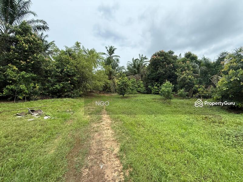 Agricultural Land Seri Medan untuk Untuk Dijual - RM 5,923,369, Apr 2026 - Garden - PropertyGuru.com.my