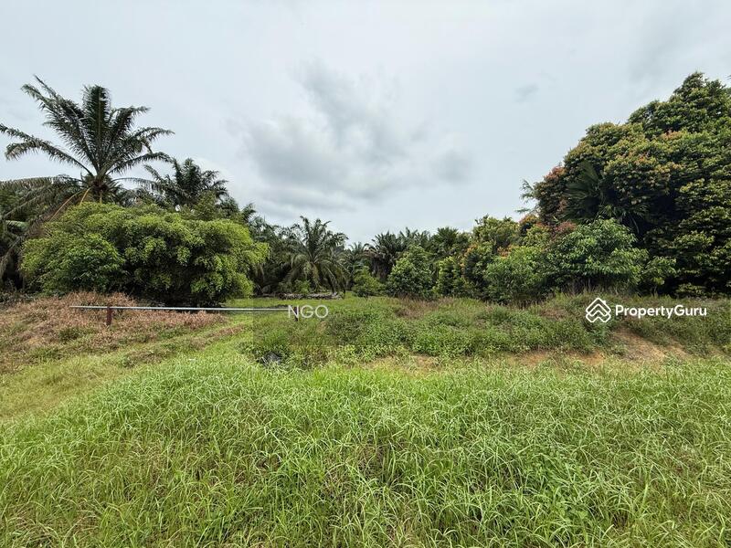 Agricultural Land Seri Medan untuk Untuk Dijual - RM 5,923,369, Apr 2026 - Others - PropertyGuru.com.my