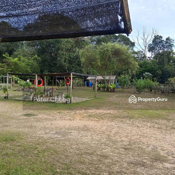 Tanah Pertanian untuk Dijual di Kuantan (Pahang) - Peter Chong - PropertyGuru.com.my