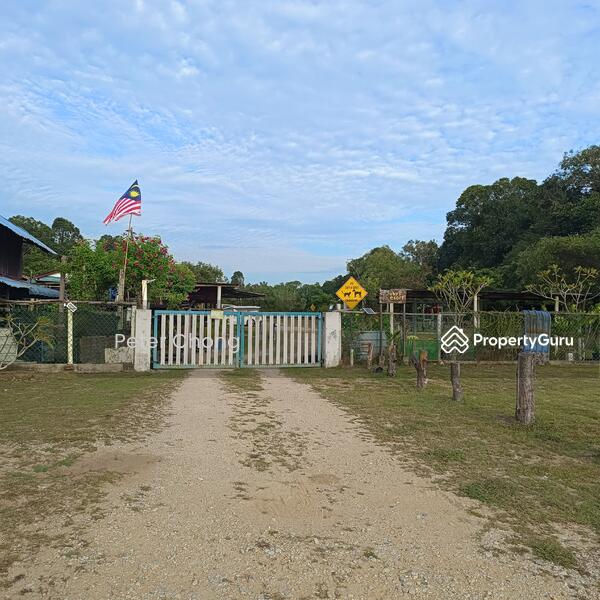 Tanah Pertanian untuk Dijual di Kuantan (Pahang) - Peter Chong - PropertyGuru.com.my