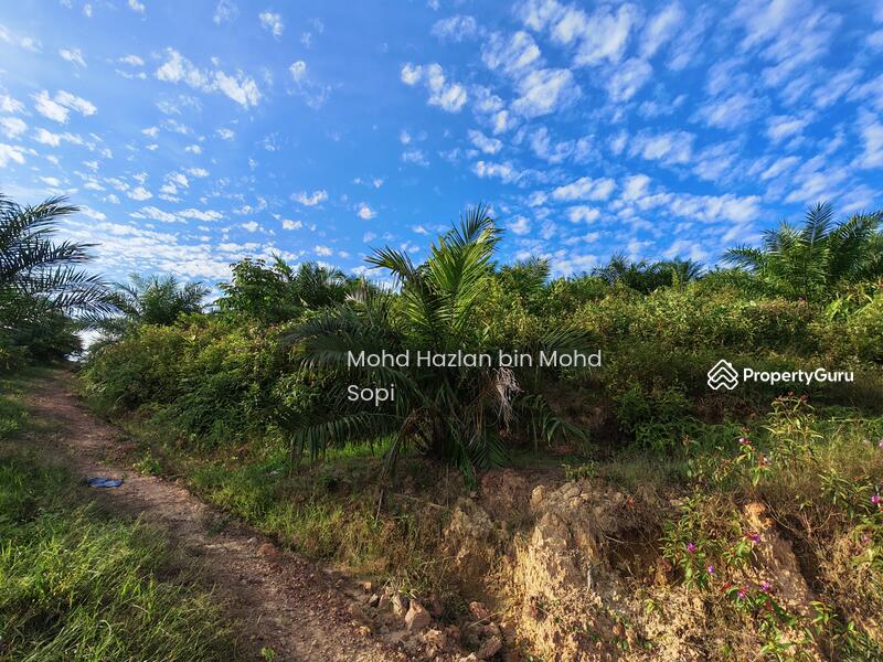 Untuk Dijual - Kebun Sawit 7.5 Relong @ Lanai, Baling