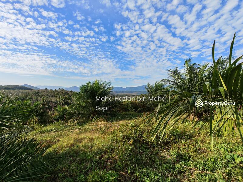 Untuk Dijual - Kebun Sawit 7.5 Relong @ Lanai, Baling