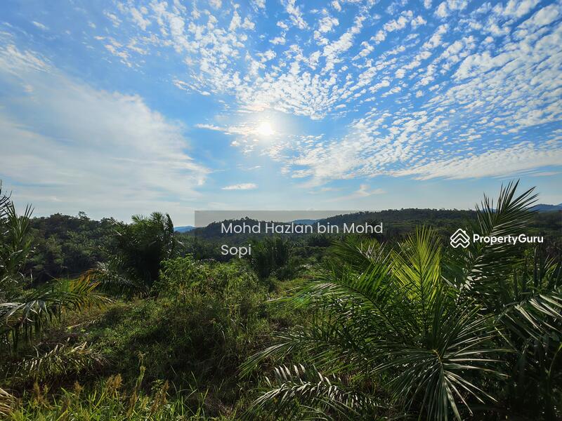 Untuk Dijual - Kebun Sawit 7.5 Relong @ Lanai, Baling