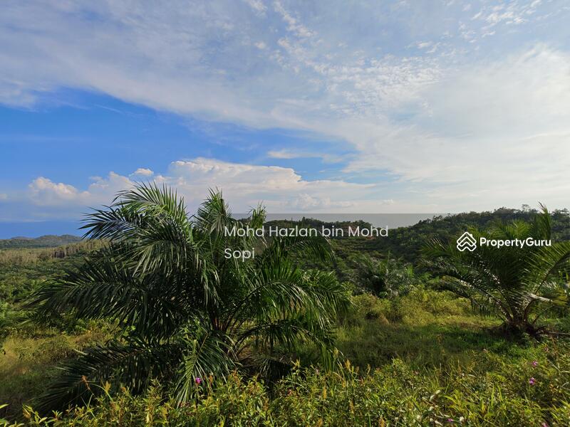 Untuk Dijual - Kebun Sawit 7.5 Relong @ Lanai, Baling