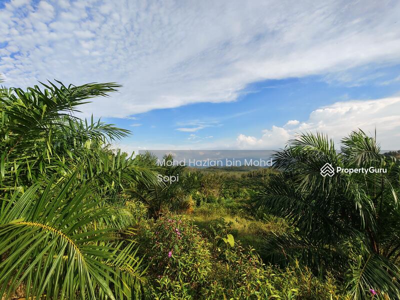 Untuk Dijual - Kebun Sawit 7.5 Relong @ Lanai, Baling