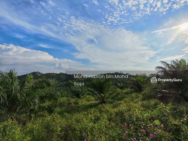 Untuk Dijual - Kebun Sawit 7.5 Relong @ Lanai, Baling