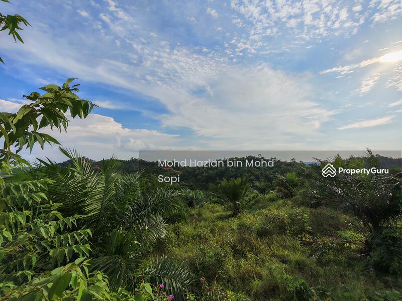 Untuk Dijual - Kebun Sawit 7.5 Relong @ Lanai, Baling