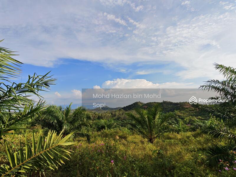 Untuk Dijual - Kebun Sawit 7.5 Relong @ Lanai, Baling
