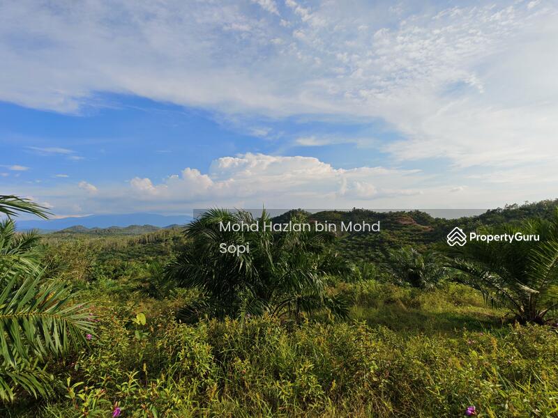 Untuk Dijual - Kebun Sawit 7.5 Relong @ Lanai, Baling