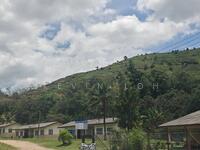 For Sale - bentong sungai penjuring