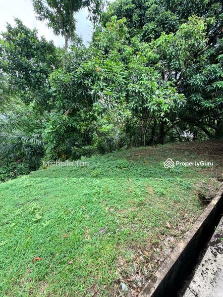 Rumah Banglo untuk Dijual di Taman Tunku (Bukit Tunku (Kenny Hills)) - Michelle Tan - Garden - PropertyGuru.com.my