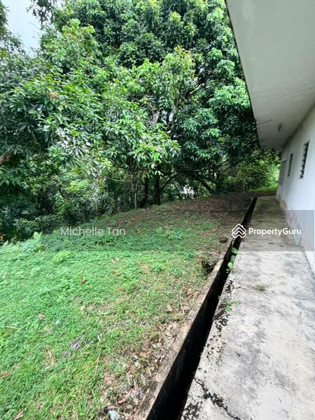 Rumah Banglo untuk Dijual di Taman Tunku (Bukit Tunku (Kenny Hills)) - Michelle Tan - Garden - PropertyGuru.com.my