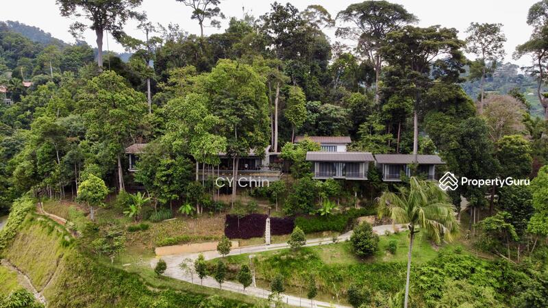 For Sale - Tanarimba