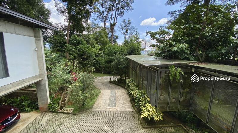 For Sale - Tanarimba