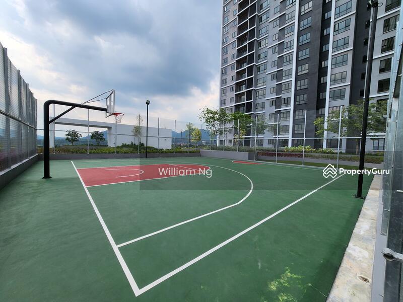 Basketball Court
