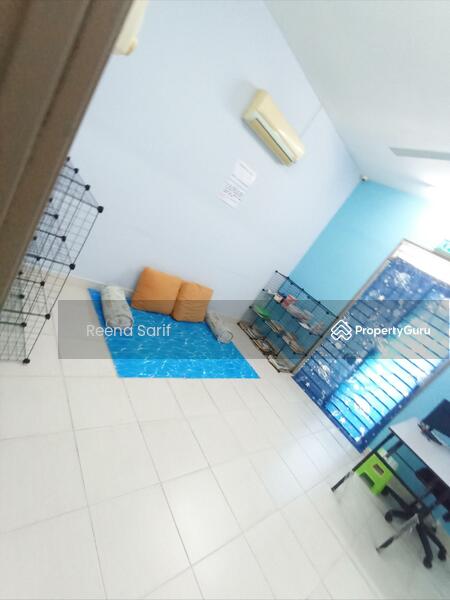 Study