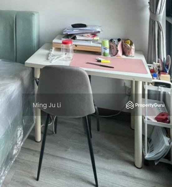 Study