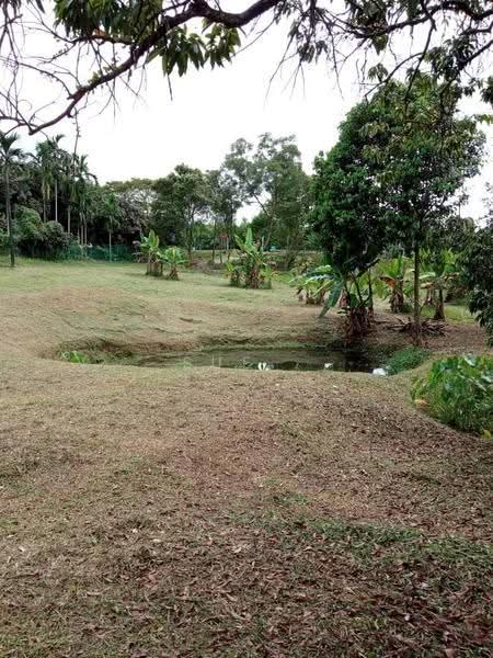 Tanah Pertanian untuk Dijual di Taman Bukit Kempas (Tampoi) - Sue . - Exterior - PropertyGuru.com.my