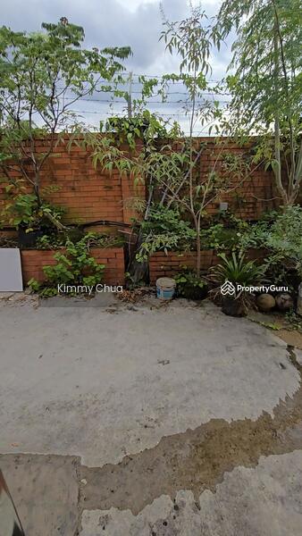 back side Garden