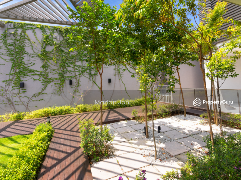 Rooftop Garden