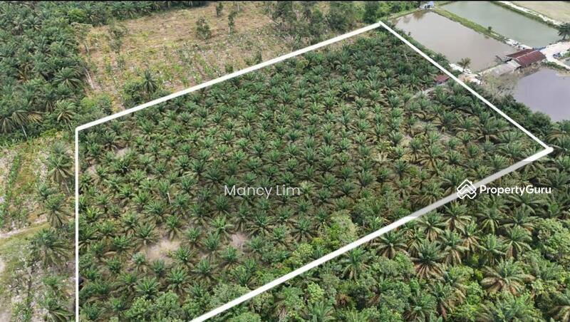 Tanah Perindustrian untuk Dijual di Taman Perindustrian Senai (Senai) - Mancy Lim - PropertyGuru.com.my