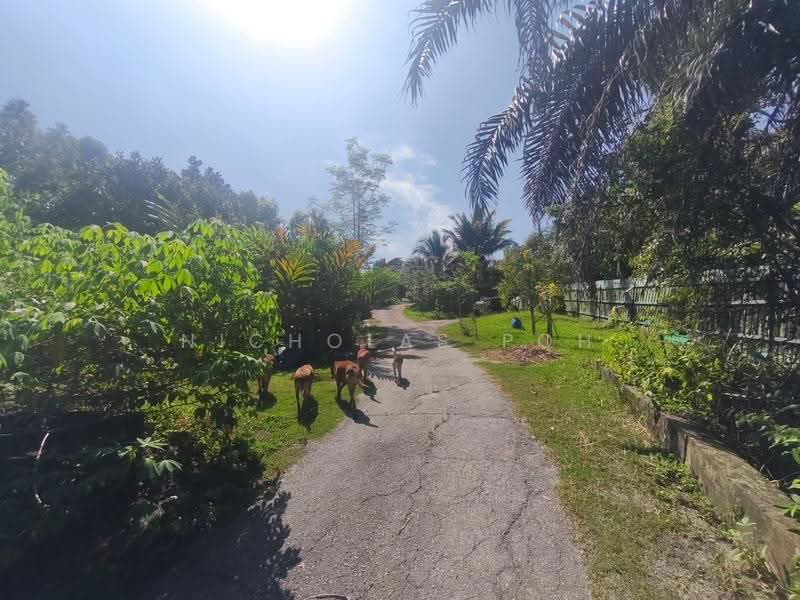 Rumah Banglo untuk Dijual di Ipoh (Perak) - Nicholas Poh - Exterior - PropertyGuru.com.my