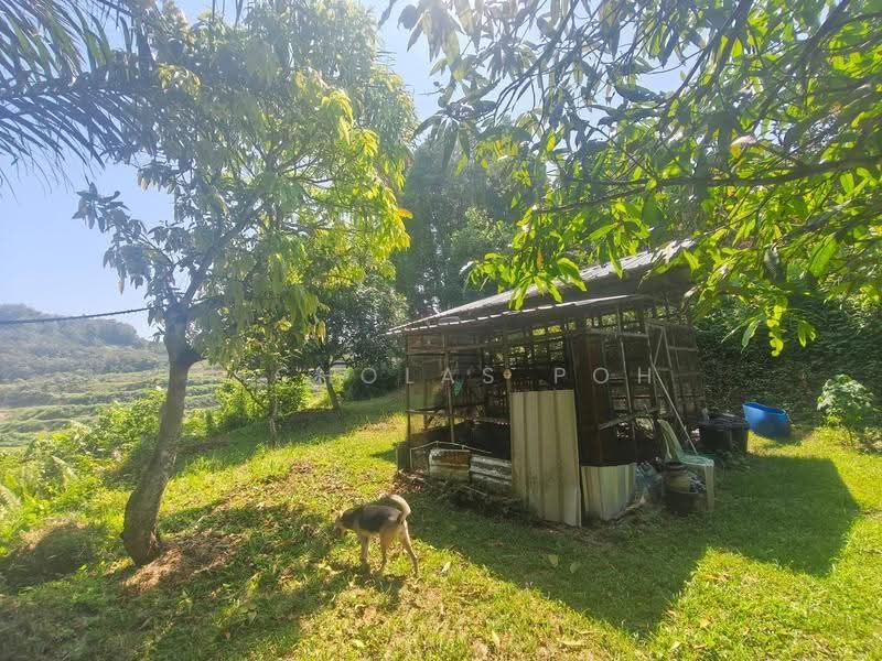 Rumah Banglo untuk Dijual di Ipoh (Perak) - Nicholas Poh - PropertyGuru.com.my