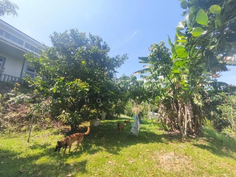 Rumah Banglo untuk Dijual di Ipoh (Perak) - Nicholas Poh - PropertyGuru.com.my