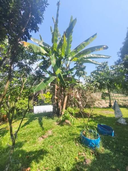 Rumah Banglo untuk Dijual di Ipoh (Perak) - Nicholas Poh - PropertyGuru.com.my