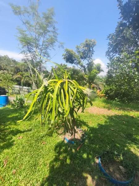 Rumah Banglo untuk Dijual di Ipoh (Perak) - Nicholas Poh - PropertyGuru.com.my