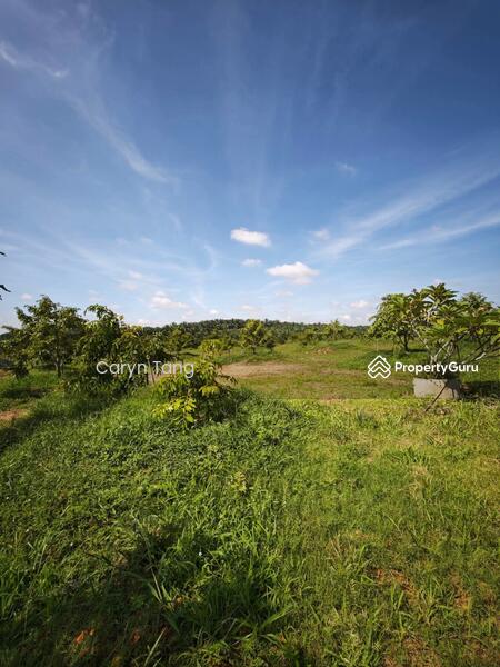 Untuk Dijual - Batu Gajah Agricultural Land