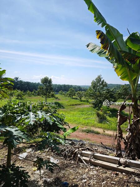 Untuk Dijual - Batu Gajah Agricultural Land