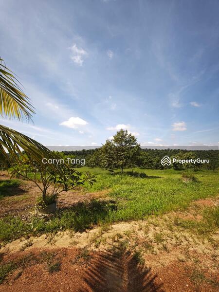 Untuk Dijual - Batu Gajah Agricultural Land