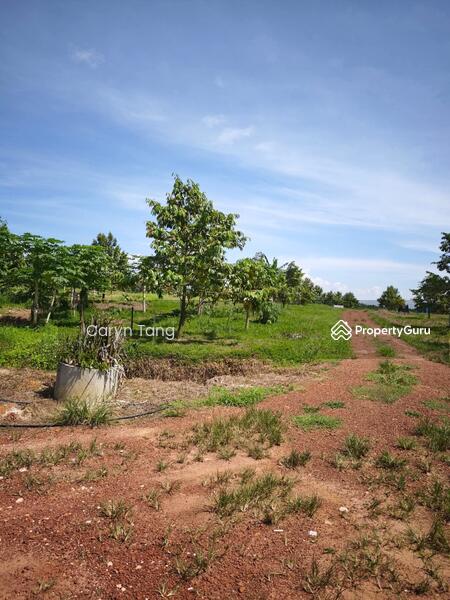 Untuk Dijual - Batu Gajah Agricultural Land