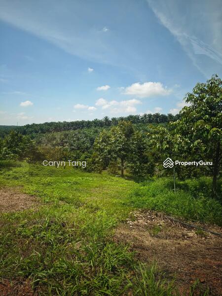 Untuk Dijual - Batu Gajah Agricultural Land