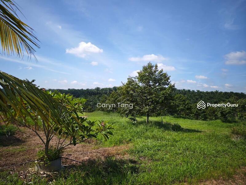 Untuk Dijual - Batu Gajah Agricultural Land