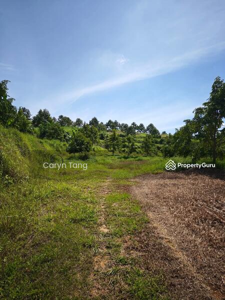 Untuk Dijual - Batu Gajah Agricultural Land