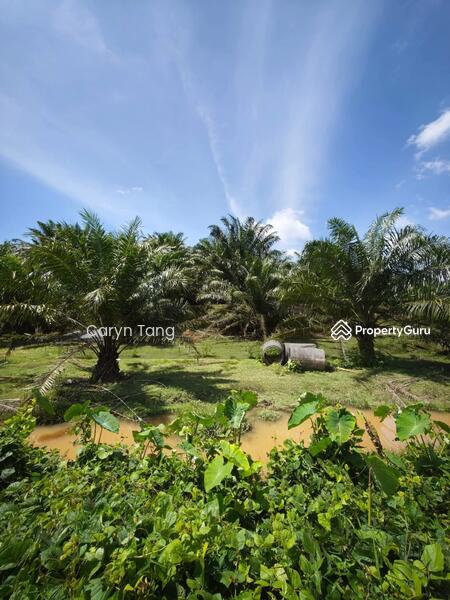 Untuk Dijual - Batu Gajah Agricultural Land