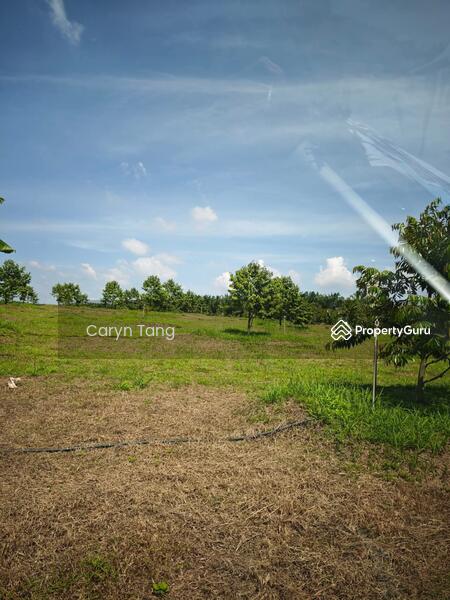 Untuk Dijual - Batu Gajah Agricultural Land