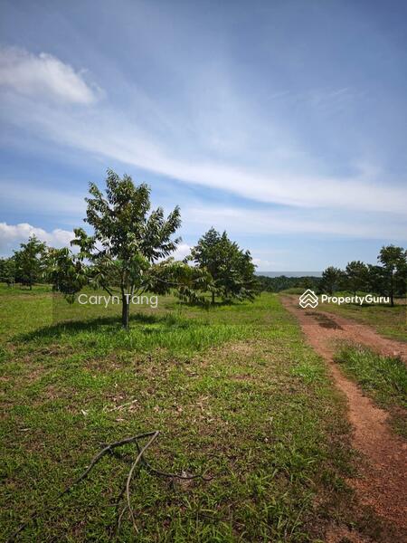 Untuk Dijual - Batu Gajah Agricultural Land