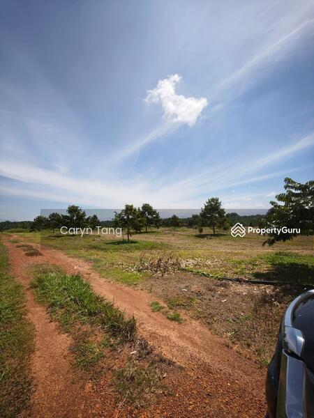 Untuk Dijual - Batu Gajah Agricultural Land