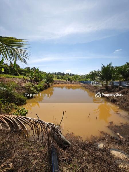 Untuk Dijual - Batu Gajah Agricultural Land