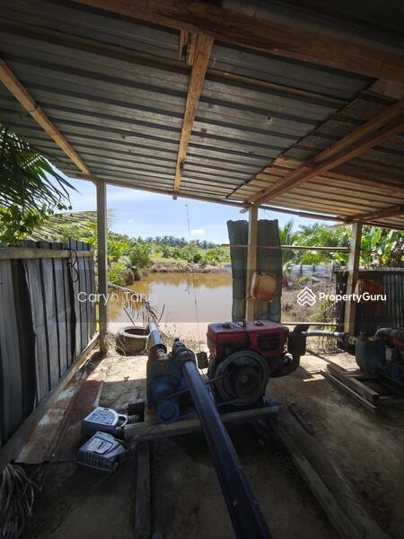 Untuk Dijual - Batu Gajah Agricultural Land