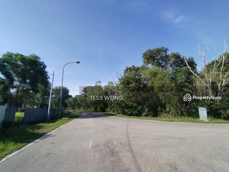 The said land angle view