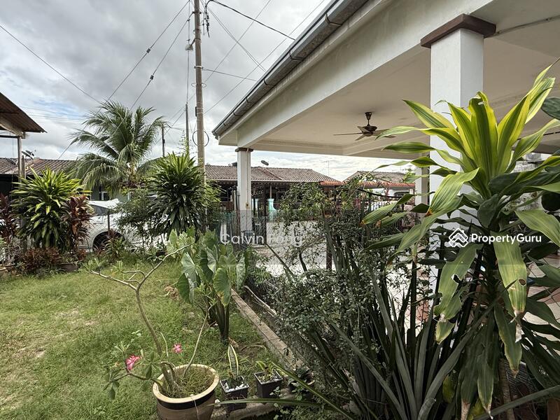 Front lawn 