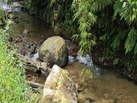 For Sale - Tanah Dusun Durian Batang kali