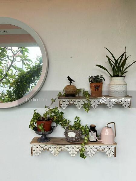 Garden area 