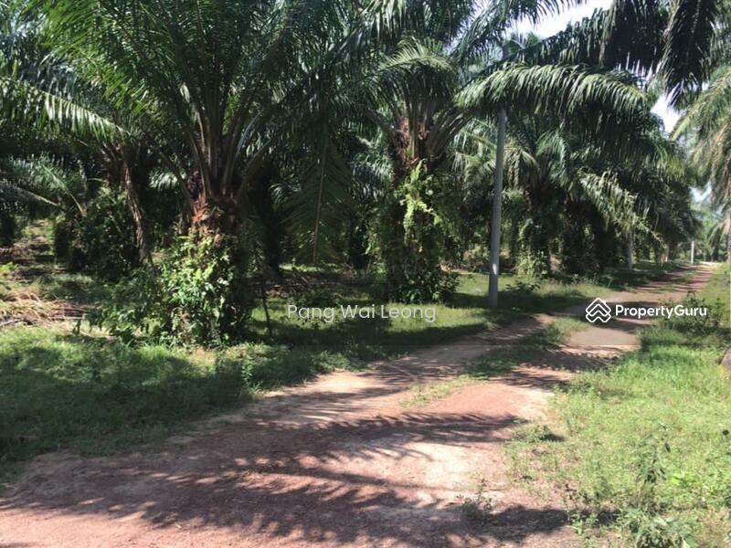 Untuk Dijual - Lukut