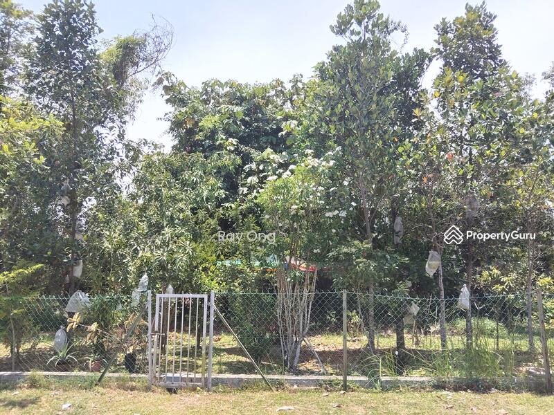 Community Garden